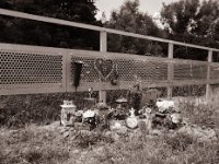 Heute keine Blumen in der Vase  Pentax 645N, SMC FA 2.8/45, Bergger Pancro400@200 - 13.06.2022 -