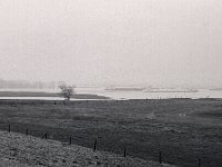Rheinwiesen und Fluss  Pentax 67II, SMC 2.4/105, Bergger Pancro400@640  - 14.01.2022 -
