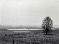 Viadukt und Rheinwiesen im Nebel  Pentax 67II, SMC 2.4/105, Bergger Pancro400@640  - 14.01.2022 -