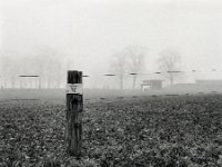 Unter Spannung  Pentax 67II, SMC 2.4/105, Bergger Pancro400@640  - 14.01.2022 -