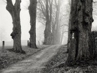 Fürstenberg A3  Pentax 67II, SMC 2.4/105, Bergger Pancro400@640  - 14.01.2022 -