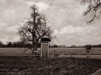 Box  Pentax K2, SMC M 2.8/40, Gelbfilter, Adox CHS100II  - 15.02.2022 -