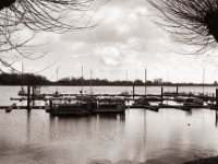 Winterschlaf der Segler  Pentax K2, SMC M 2.8/40, Gelbfilter, Adox CHS100II  - 15.02.2022 -