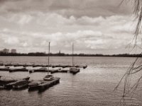 Ruhe am See  Pentax K2, SMC M 2.8/40, Gelbfilter, Adox CHS100II  - 15.02.2022 -