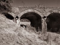 Eisenbahnviadukt Ruine  Pentax 645N, SMC A 2.8/45, Gelbfilter, Bergger Pancro400@200  - 15.06.2022 -