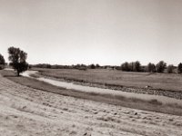 Alter Rheinarm bei Rees  Pentax 645N, SMC A 2.8/45, Gelbfilter, Bergger Pancro400@200  - 15.06.2022 -