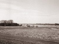 Rheinaue Duisburg Alsum  Fuji GS645S professional WIDE60, Rollei RPX 100  - 16.03.2022 -