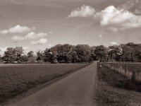 going home  Pentax Super A, SMC M 2.8/40 Pancake, Gelbfilter, Bergger Pancro400@200  - 16.10.2022 -