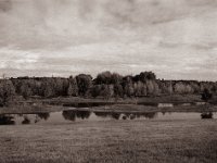 Naturschutz Lippemündung  Pentax 645N, SMC FA 2.8/45, Gelbfilter, Bergger Pancro400  - 20.09.2022 -