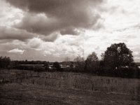 Rheinvorland  Pentax 645N, SMC FA 2.8/45, Gelbfilter, Bergger Pancro400  - 20.09.2022 -