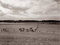 Hinterm Deich  Pentax 645N, SMC FA 2.8/45, Gelbfilter, Bergger Pancro400  - 20.09.2022 -