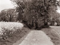 Abfahrt  Pentax 67II, SMC 2.4/105, Gelbfilter, Bergger Pancro400@200  - 21.04.2022 -