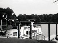 Seestern, die Touristen sind noch nicht da  Pentax LX, SMC FA 1.8/77 Limited, Adox CHS100II  - 22.08.2022 -