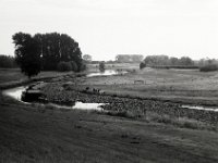 Alter Rheinarm bei Rees  Pentax LX, SMC FA 1.8/77 Limited, Adox CHS100II  - 22.08.2022 -
