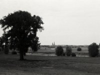 Baum und Dom  Pentax LX, SMC FA 1.8/77 Limited, Adox CHS100II  - 22.08.2022 -