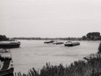 Schiffsverkehr  Pentax LX, SMC FA 1.8/77 Limited, Adox CHS100II  - 22.08.2022 -