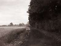 Heimweg  Pentax LX, SMC 2.0/35, Bergger Pancro400@200  - 24.10.2022 -