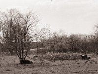 Nachwuchs  Pentax 67II, SMC 2.4/105, Bergger Pancro400@200  - 25.03.2022 -
