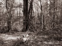 Unterstand  Pentax MZ-S, SMC FA  1.9/43 Limited, Gelbfilter, Adox CHS 100 II  - 27.04.2022 -