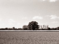 Niederrheinische Landschaft  Pentax MZ-S, SMC FA  1.9/43 Limited, Gelbfilter, Adox CHS 100 II  - 27.04.2022 -