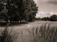 Das Lama liegt auf der Weide  Fuji GS645S professional WIDE60, Bergger Pancro400@200  - 28:07.2022 -