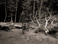 Rastplatz im Wald  Fuji GS645S professional WIDE60, Bergger Pancro400@200  - 28:07.2022 -