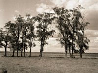 Gruppenbild  Fuji GS645S professional WIDE60, Bergger Pancro400@200  - 28:07.2022 -