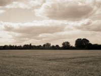 Das Haus am Feldrand  Fuji GS645S professional WIDE60, Bergger Pancro400@200  - 28:07.2022 -