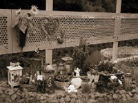 Sonne am Zaun  Fuji GS645S professional WIDE60, Bergger Pancro400@200  - 28:07.2022 -