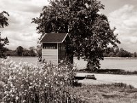 Eierbox  Pentax K2, SMC FA 1.9/43 Limited, Gelbfilter, ADOX CHS 100 II  - 30.04.2022 -