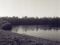 Etwas Eis auf dem kleinen See  Fuji GS 645 S professional WIDE 60, Bergger Pranco 400  - 03.12.2023 -