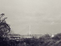 Blick zur Weseler Rheinbrücke  Fuji GS 645 S professional WIDE 60, Bergger Pranco 400  - 03.12.2023 -