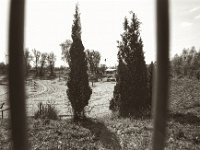 Freibad hinterm Zaun  Pentax Super A, Soligor C/D Wide Auto 2.8/20 MC, ILFORD Pan 100  - 03.05.2023 -