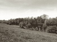 Hinterm Deich  Pentax Super A, Soligor C/D Wide Auto 2.8/20 MC, ILFORD Pan 100  - 03.05.2023 -