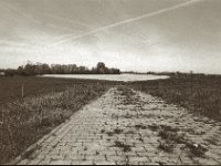 Deichweg zum Rapsfeld  Pentax Super A, Soligor C/D Wide Auto 2.8/20 MC, ILFORD Pan 100  - 03.05.2023 -