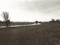 Alter Rheinarm  Pentax Super A, Soligor C/D Wide Auto 2.8/20 MC, ILFORD Pan 100  - 03.05.2023 -