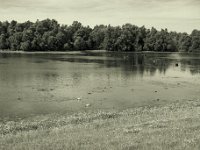 Schwanensee  Pentax 67II, SMC 2.4/105, Gelbfilter, Fuji Acros 100II   -04.09.2023 -