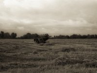 Erntemaschine  Pentax LX, SMC FA 1.9/43 Limited, Gelbfilter, ADOX CHSII  - 05.08.2023 -