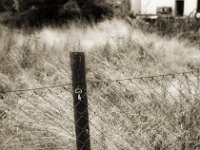 Schnuller am Zaun  Pentax LX, SMC FA 1.9/43 Limited, Gelbfilter, ADOX CHSII  - 05.08.2023 -