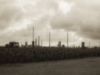 Industrie hinterm Mais  Pentax LX, SMC FA 1.9/43 Limited, Gelbfilter, ADOX CHSII  - 05.08.2023 -