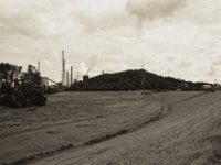 Alsumer Berg  Pentax LX, SMC FA 1.9/43 Limited, Gelbfilter, ADOX CHSII  - 05.08.2023 -