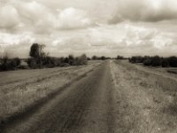 Deichweg  Pentax LX, SMC FA 1.9/43 Limited, Gelbfilter, ADOX CHSII  - 05.08.2023 -