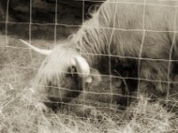 Tschüss, ich muss weiter  Pentax LX, SMC FA 1.9/43 Limited, Gelbfilter, ADOX CHSII  - 05.08.2023 -