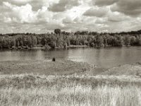 Störche und Gänse  Pentax LX, SMC FA 1.9/43 Limited, Gelbfilter, ADOX CHSII  - 05.08.2023 -