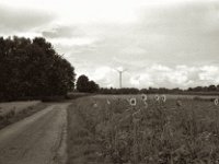 Sonnen am Weg  Pentax LX, SMC FA 1.9/43 Limited, Gelbfilter, ADOX CHSII  - 05.08.2023 -