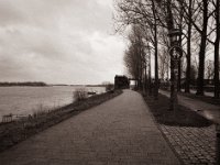 Verwaiste Rheinpromenade Wesel  Pentax 645N, SMC FA 2.8/45, Gelbfilter, FOMA soft Retropan 320  - 05.01.2023 -