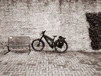Mein Rad auf der Rheinpromenade Rees  Pentax 645N, SMC FA 2.8/45, Gelbfilter, FOMA soft Retropan 320  - 05.01.2023 -