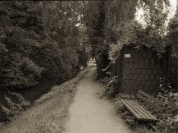 Weg am Rotbach in Dinslaken  Fuji GS645S professional wide60, Bergger Pancro 400   - 08.08.2023 -