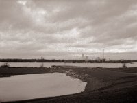 Rheinwiese  Fuji GS645S professional WIDE60, Rollei RPX 100  - 08.01.2023 -