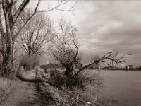 Am Ufer entlang nach Hause  Fuji GS645S professional WIDE60, Rollei RPX 100  - 08.01.2023 -